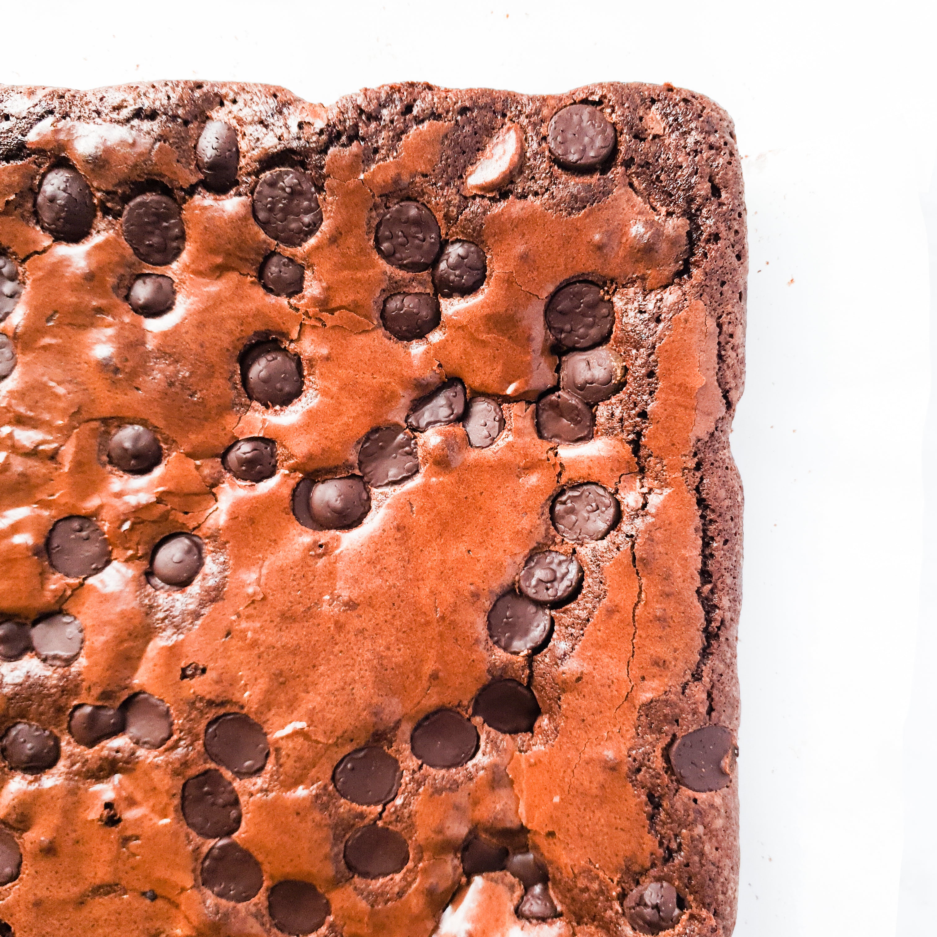 EXTRA FUDGEY CHOCOLATE BROWNIES