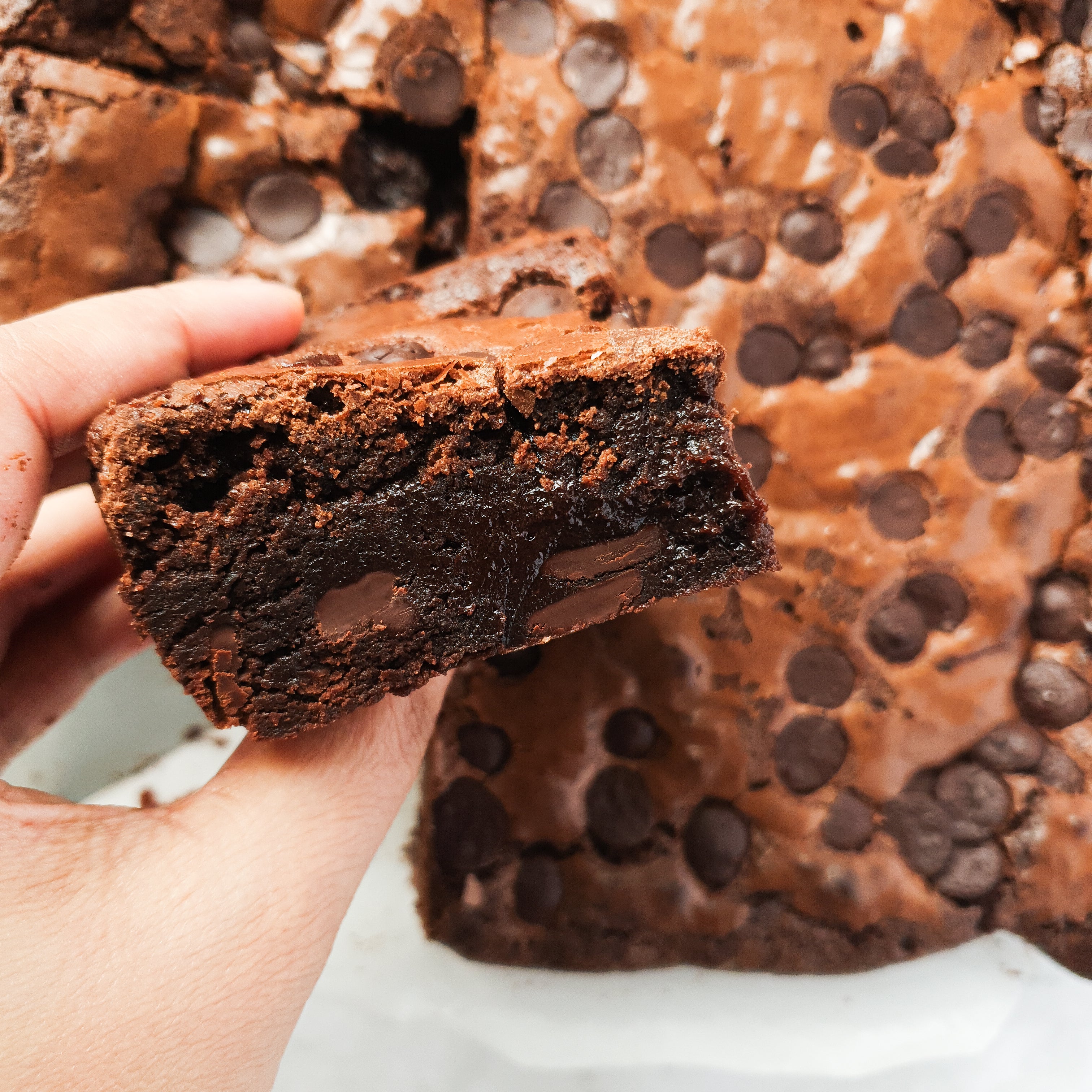 EXTRA FUDGEY CHOCOLATE BROWNIES